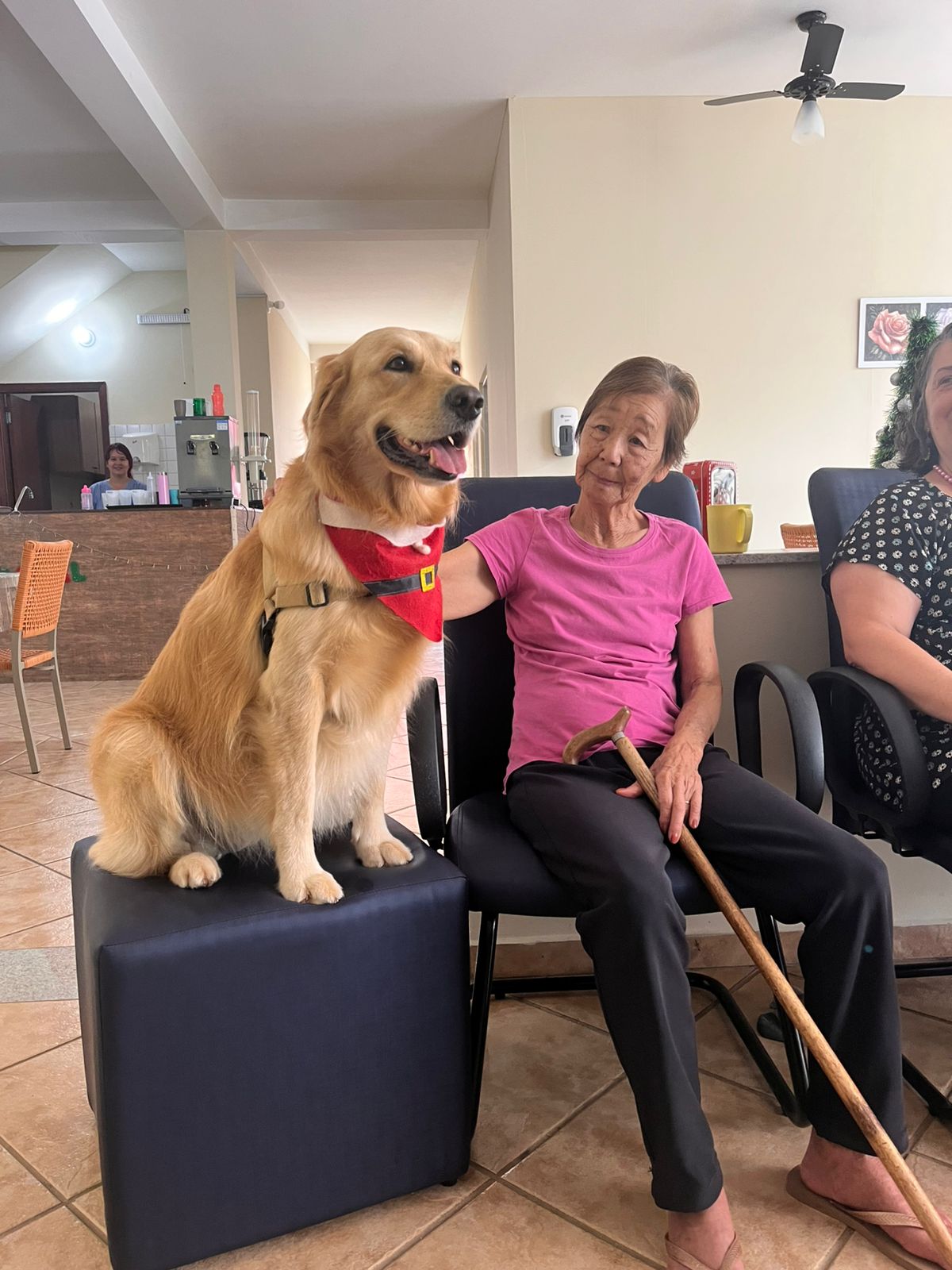 Descrição da Imagem 23